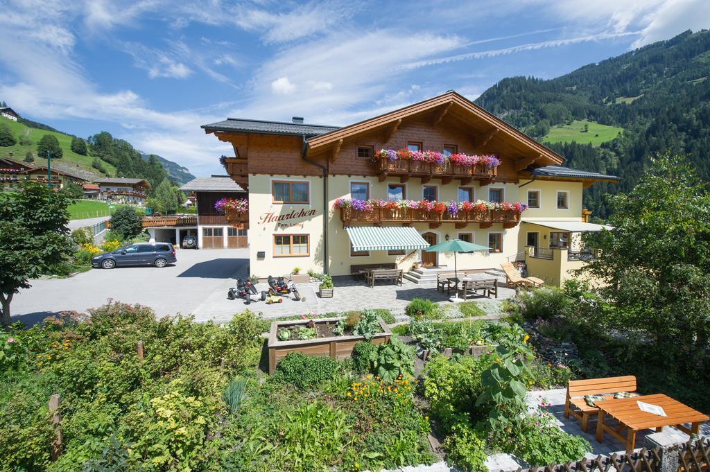 Haarlehenhof Villa Grossarl Phòng bức ảnh